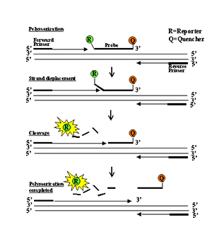 J9集团·(中国)首页官网